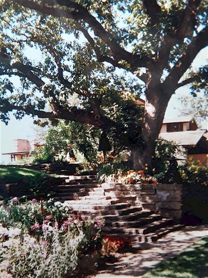 Photograph of Taliesin Tea Circle in the summer of 1994.