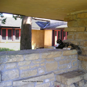 Color photograph of the calico cat, Sherpa at Taliesin on a stone wall. Photo by Keiran Murphy
