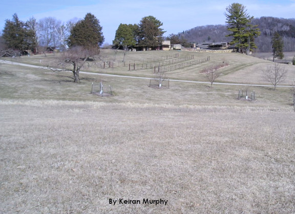 Photograph of landscape around Taliesin in late winter. Grass, trees, and the building in view.